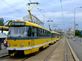 Kolona osmi tramvajov�ch vlak� Pod Z�horskem 24. 6. 2008