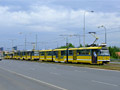 Nejv�t�� kolona tramvaj� (aby nep�ek�ely sanitk�m na Klatovsk� t��d�) se vytvo�ila pobl� zast�vky Pod Z�horskem 24. 6. 2008