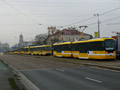 Kolona tramvají před křižovatkou v sadech Pětatřicátníků 19. 11. 2012