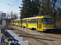 Odstaven� vozy na kon�en� Bory 24. 2. 2018