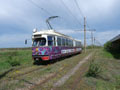 Braila  19. 4. 2025